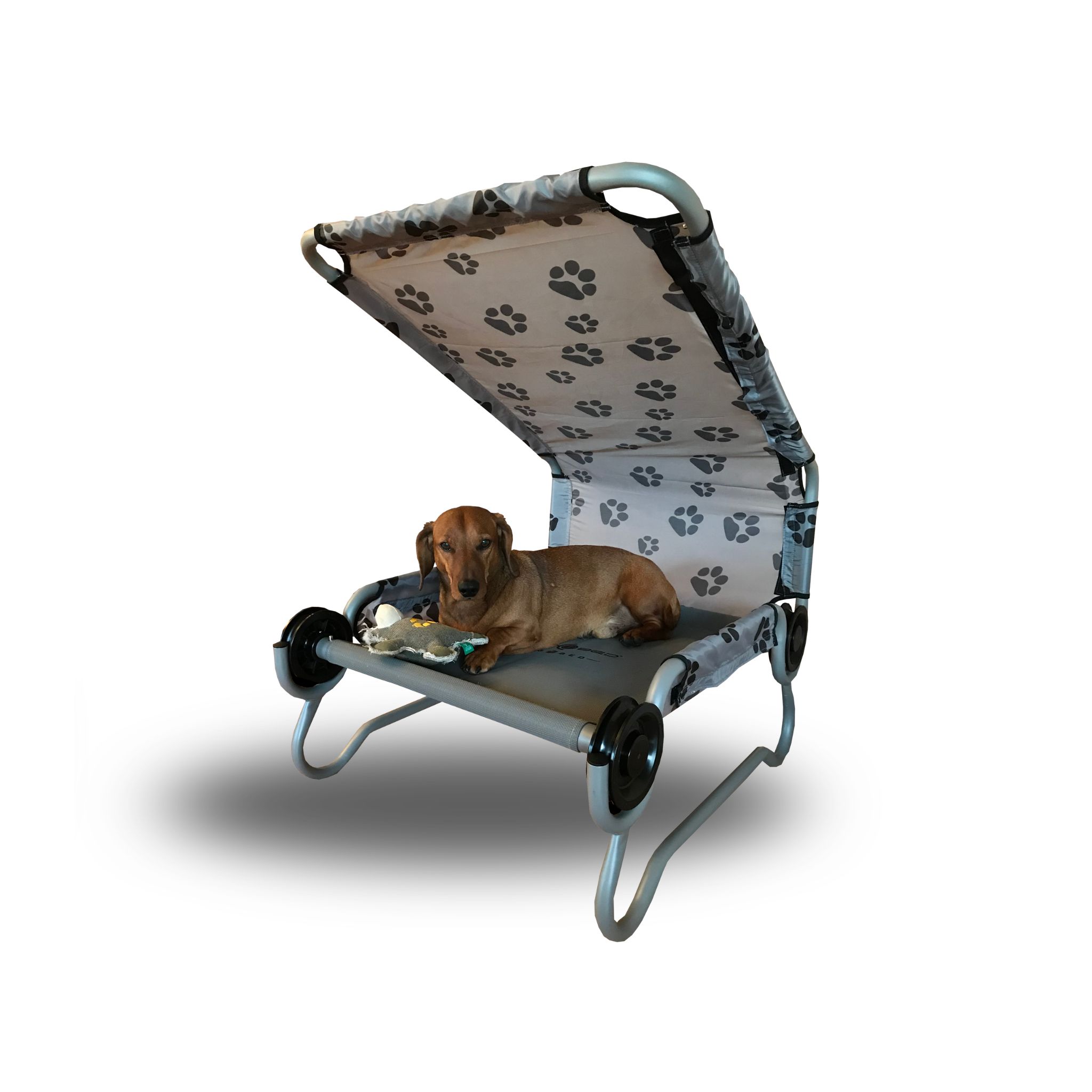 Dog-Bed
